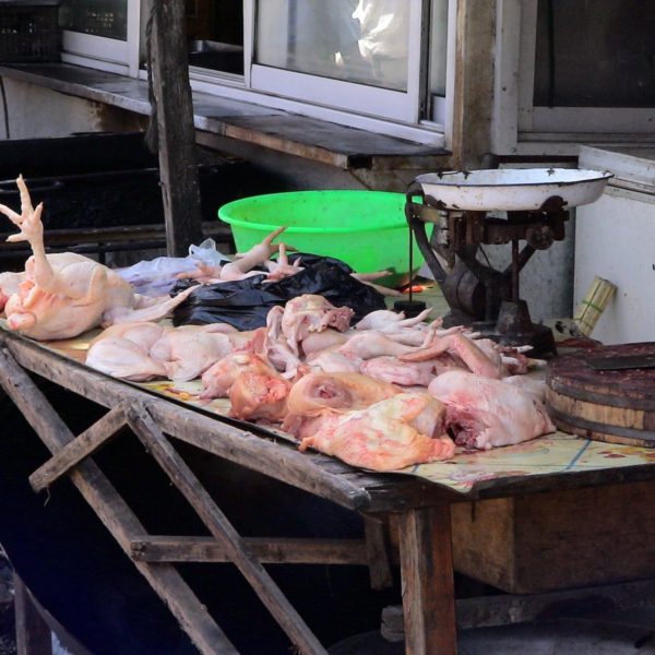 Luxury Vacation China Asia Market Chickens Meat Battles China Chicken