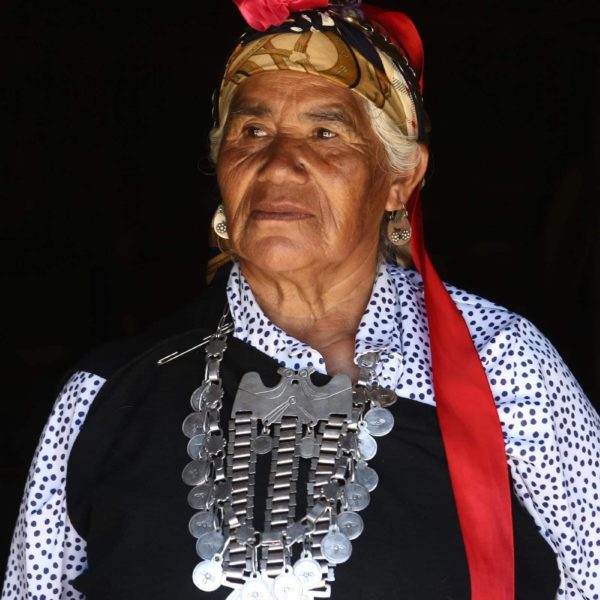 Machi Lago Budi