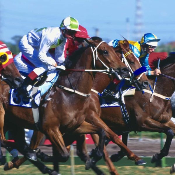 Melbourne Cup Melbourne Vic Luxury Australia Vacation