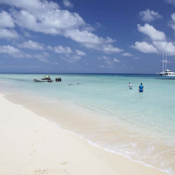 Michaelmas Cay Great Barrier Reef Qld Luxury Australia Vacation