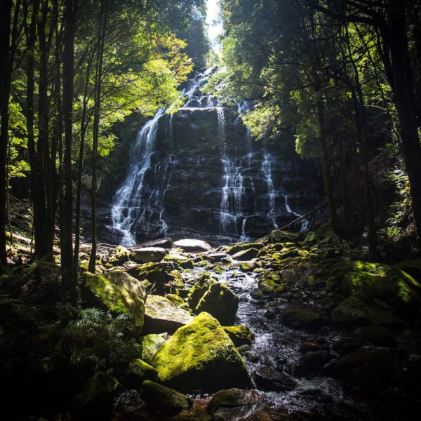 Nelson Falls West Coast Tas Luxury Australia Vacation