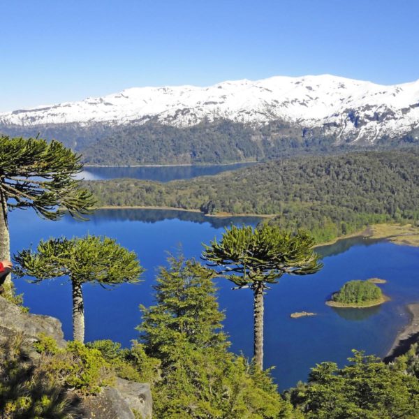 Parque Nacional Conguillio