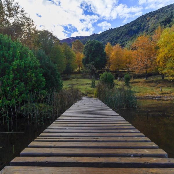 Parque Nacional Huerquehue