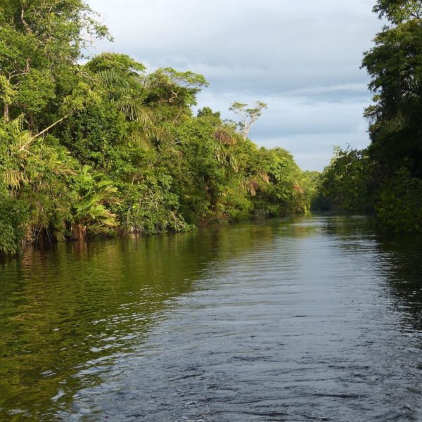River Rainforest Costa Rica Central America