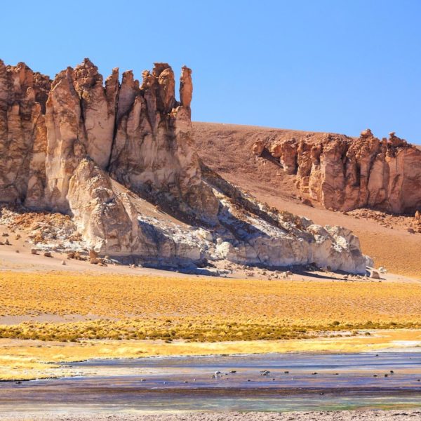 Salar De Tara San Pedro De Atacama