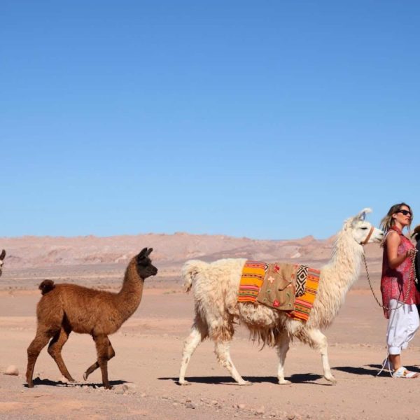 San Pedro De Atacama