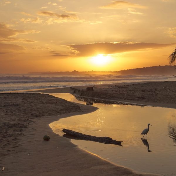 Sea Ocean Beach Waves Costa Rica Nature Sun