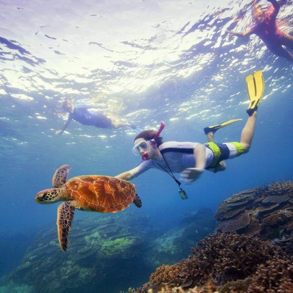 Snorkelling Great Barrier Reef Qld Luxury Australia Vacation