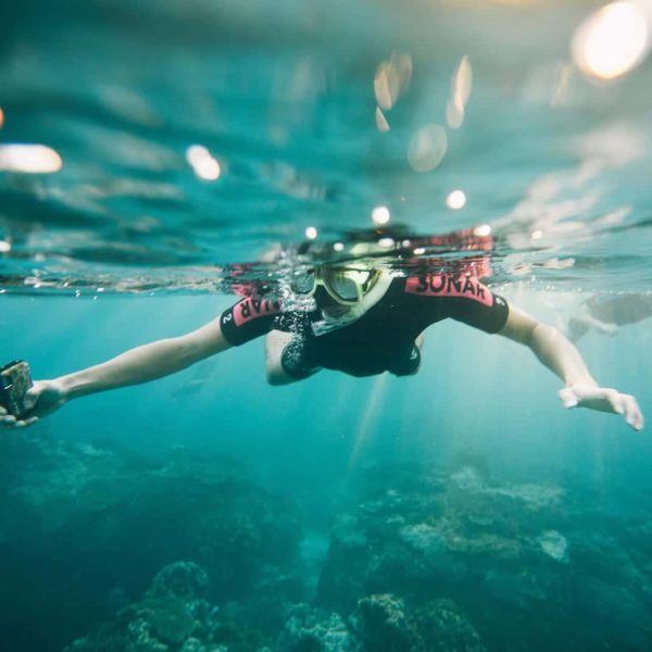 Snorkelling Lady Elliot Island Qld Luxury Australia Vacation