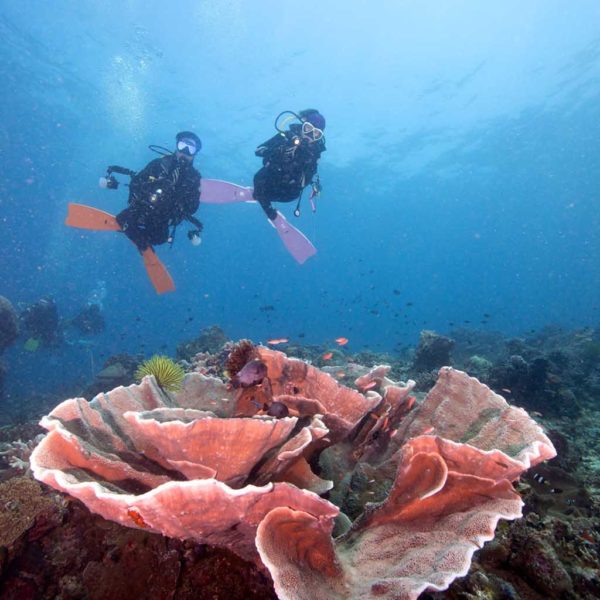 Thailand Luxury Honeymoon Scuba Diving