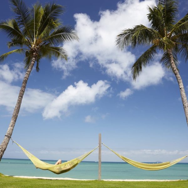 Two Hammocks Orpheus Island Coral Sea Qld Luxury Australia Vacation