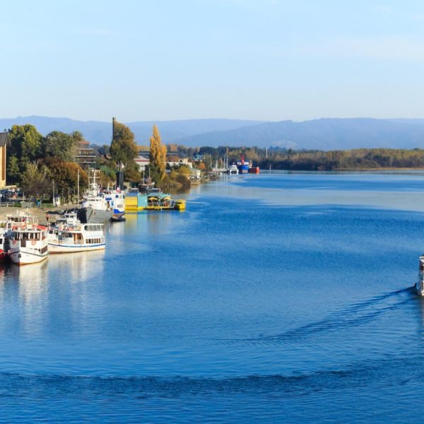 Valdivia
