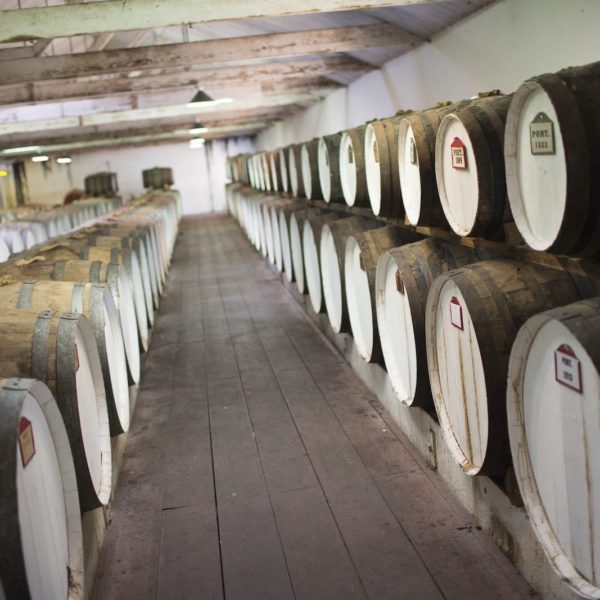 Vineyard Barrels Storage Aging Seppeltsfield Wines Sa Luxury Australia Vacation