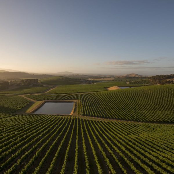 Vineyard De Bortoli Yarra Valley Estate Victoria Luxury Australia Vacation