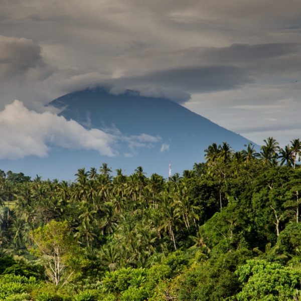 Volcano Costa Rica Palm Trees Jungle Tropical